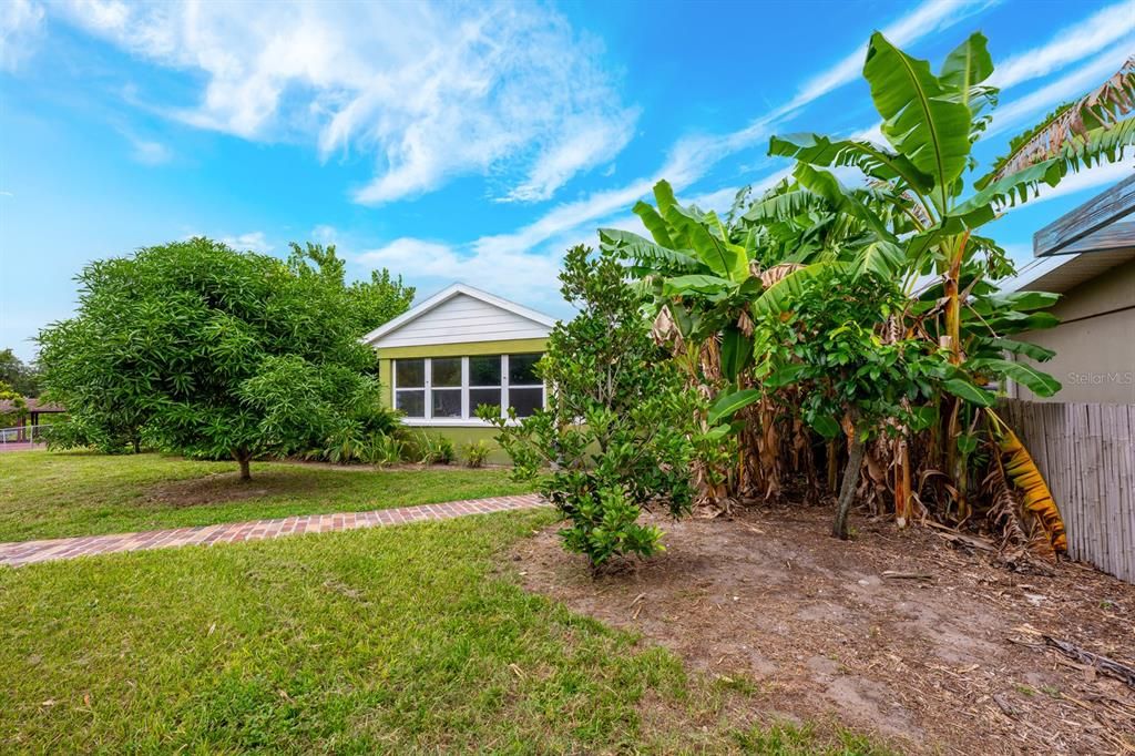 Backyard, Exterior