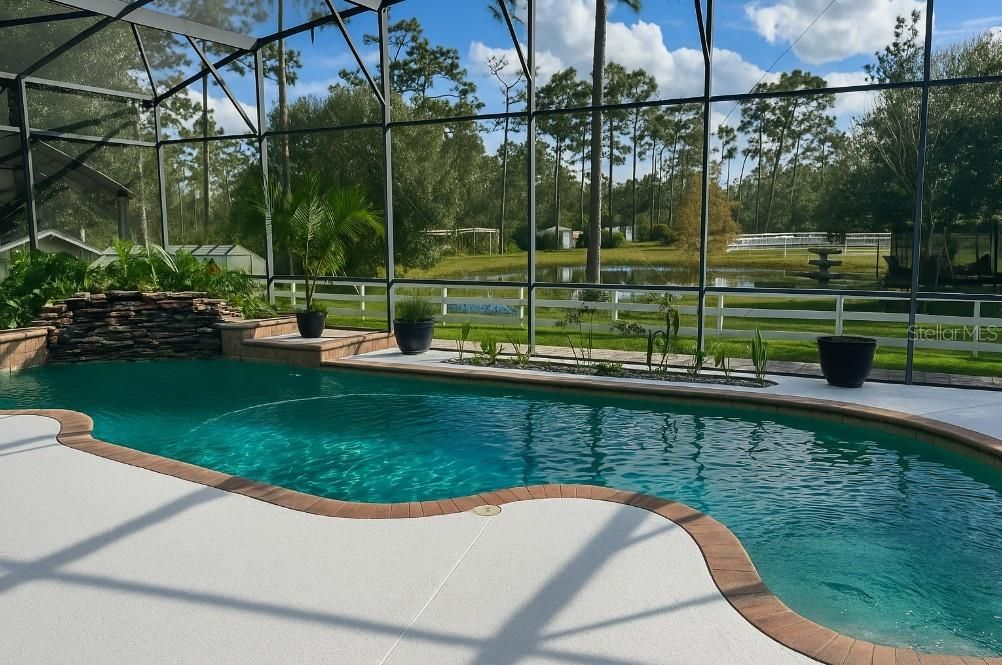 Glass Ceilings, Interior, Pool, Sun Room