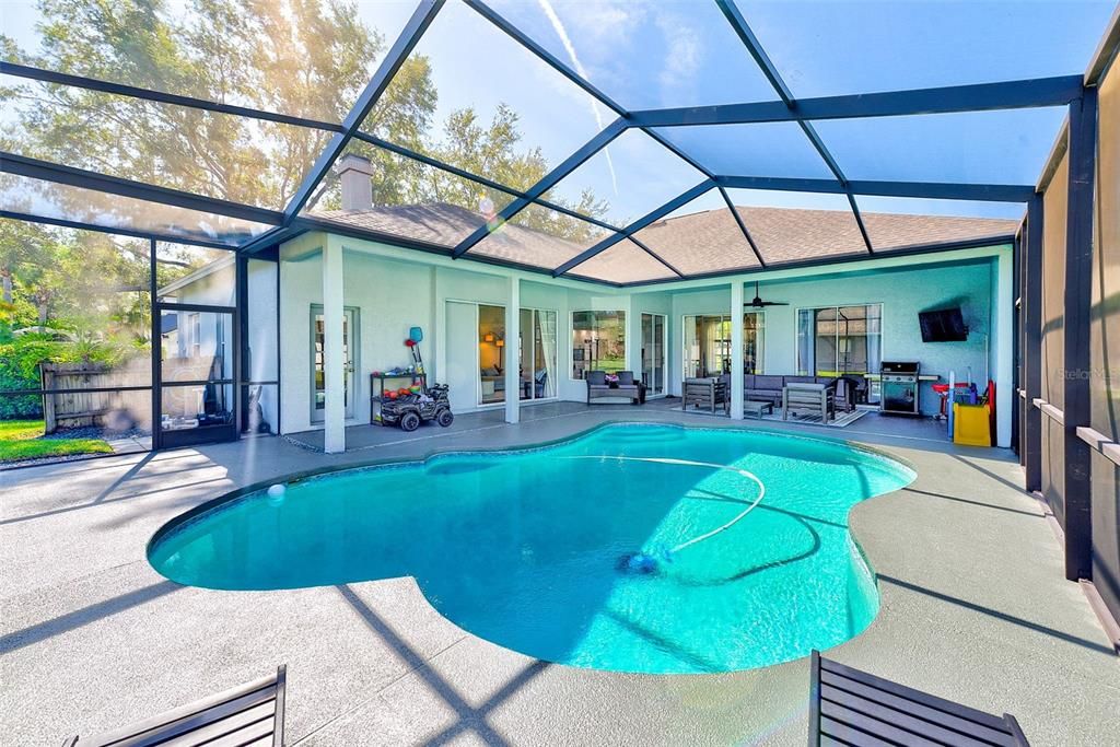 Glass Ceilings, Interior, Pool, Sun Room