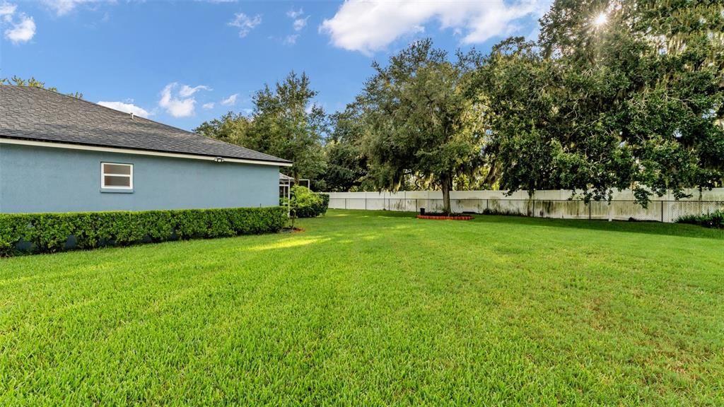 Backyard, Exterior