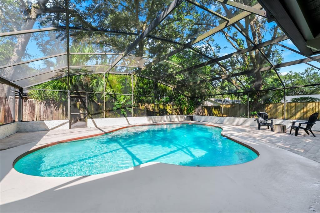 Glass Ceilings, Interior, Pool, Sun Room