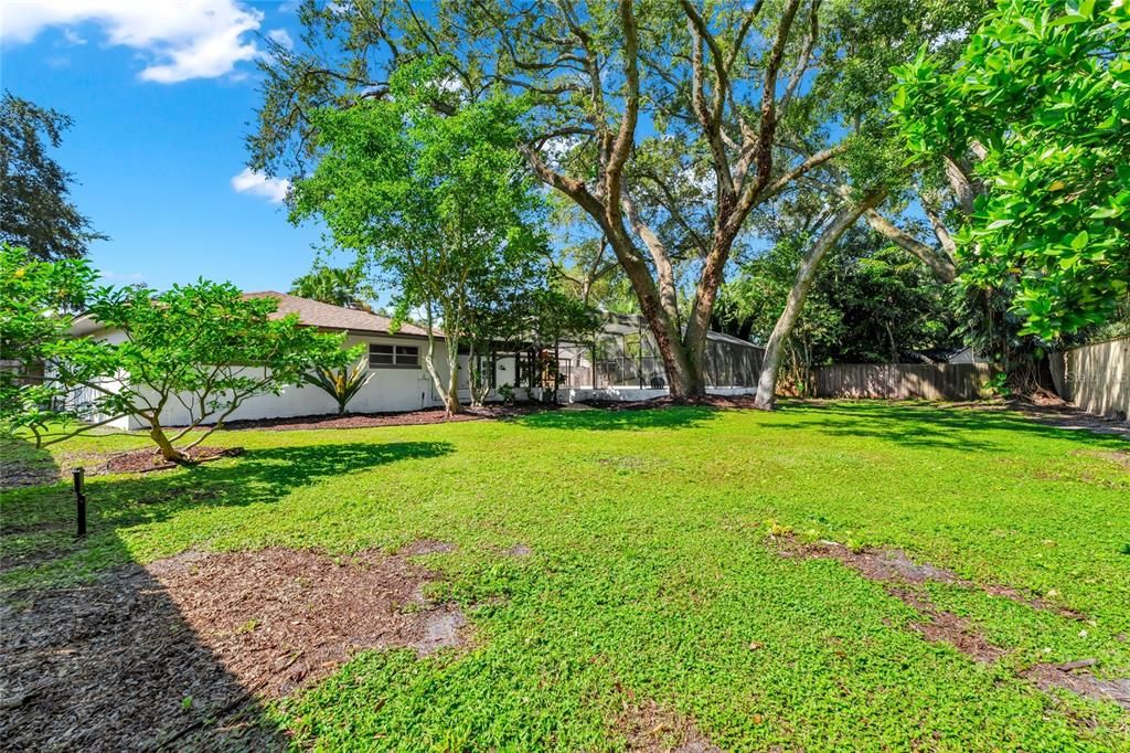 Backyard, Exterior, Playground
