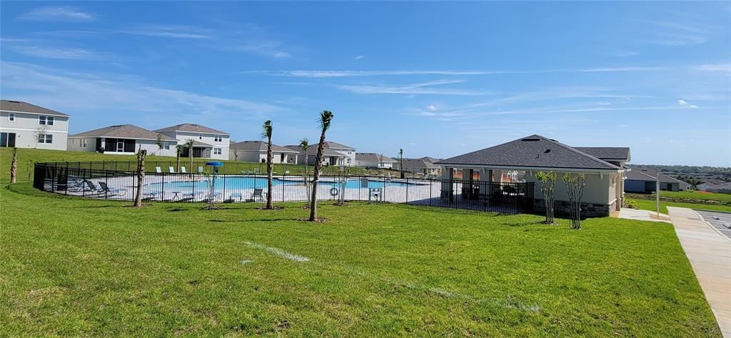 Backyard, Exterior, Pool
