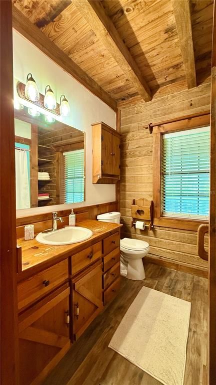 Bathroom, Interior, Wooden Beams, Wooden Ceilings, Wood Texture Flooring, Wooden Walls