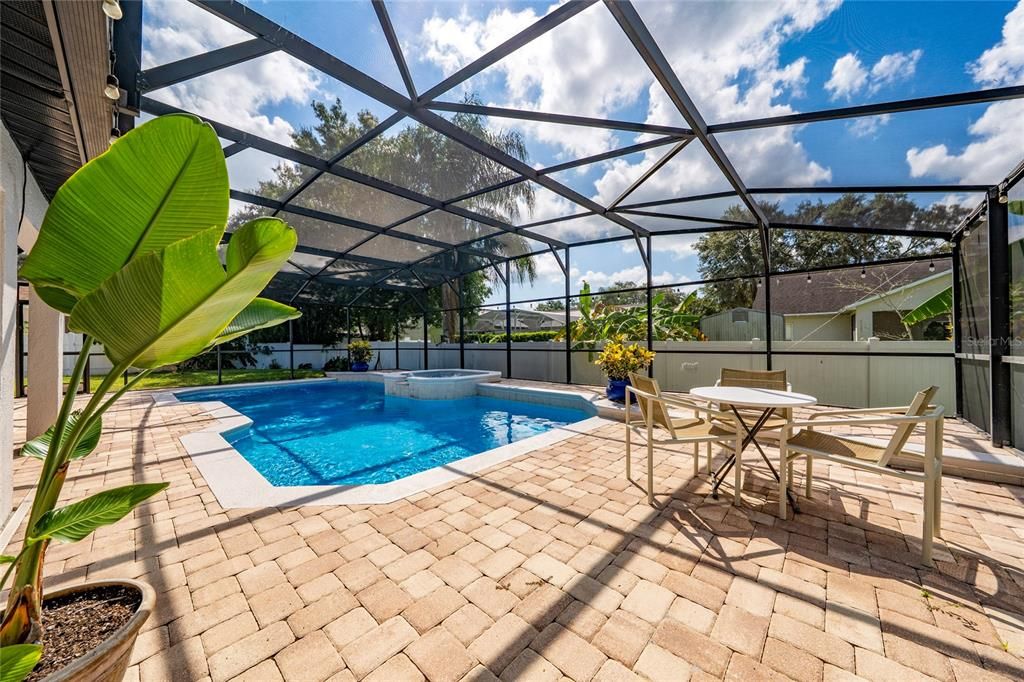 Glass Ceilings, Interior, Pool, Sun Room