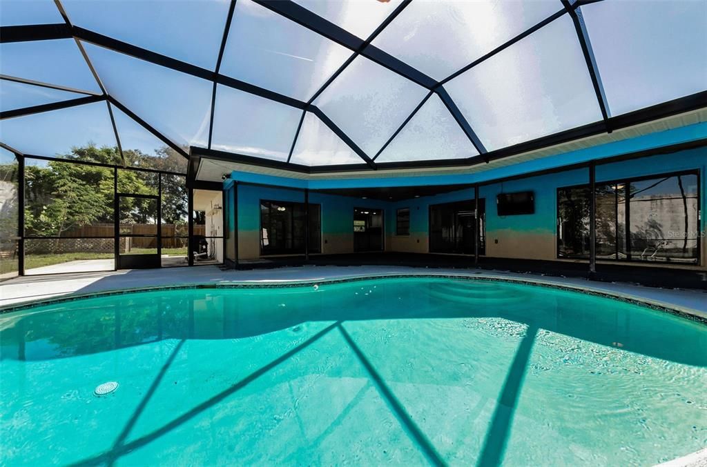 Glass Ceilings, Interior, Pool, Sun Room