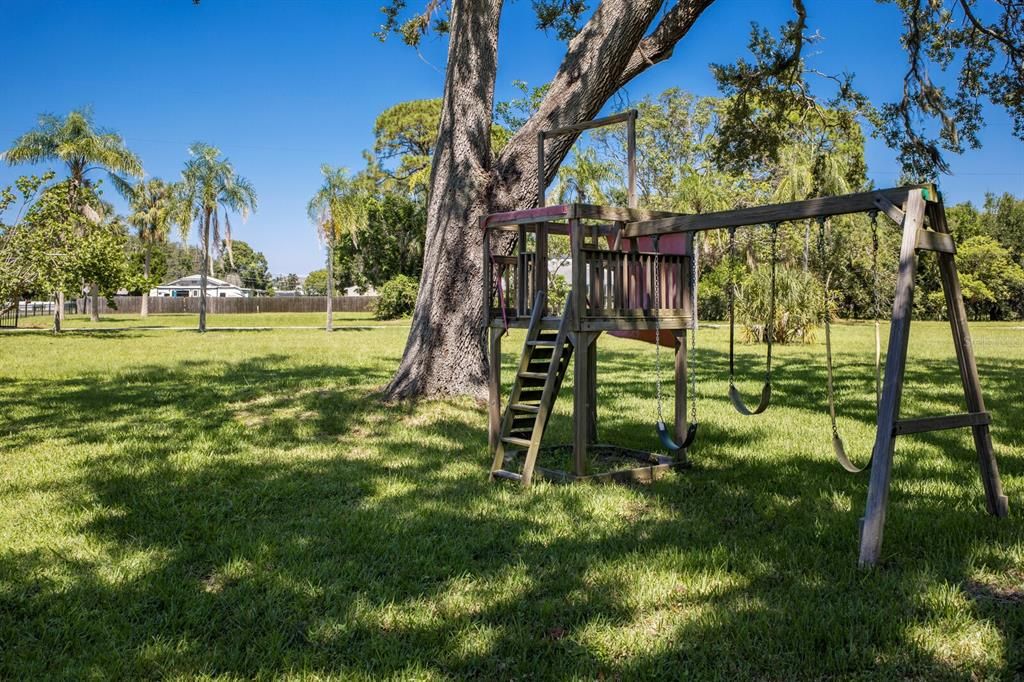 Backyard, Exterior, Playground