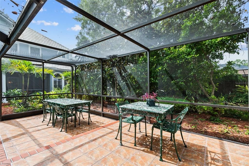 Glass Ceilings, Interior, Sun Room