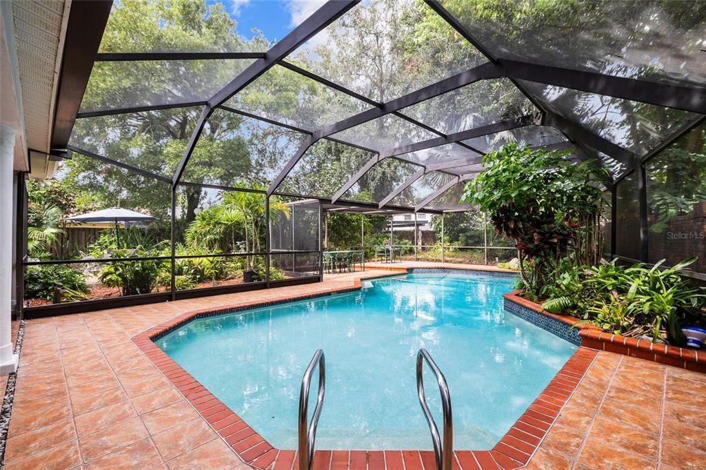 Glass Ceilings, Interior, Pool, Sun Room