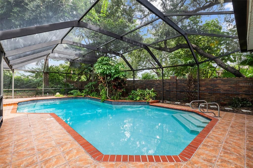 Glass Ceilings, Interior, Pool, Sun Room