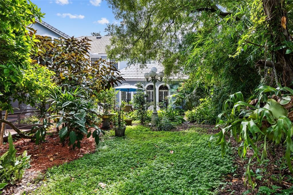 Backyard, Exterior