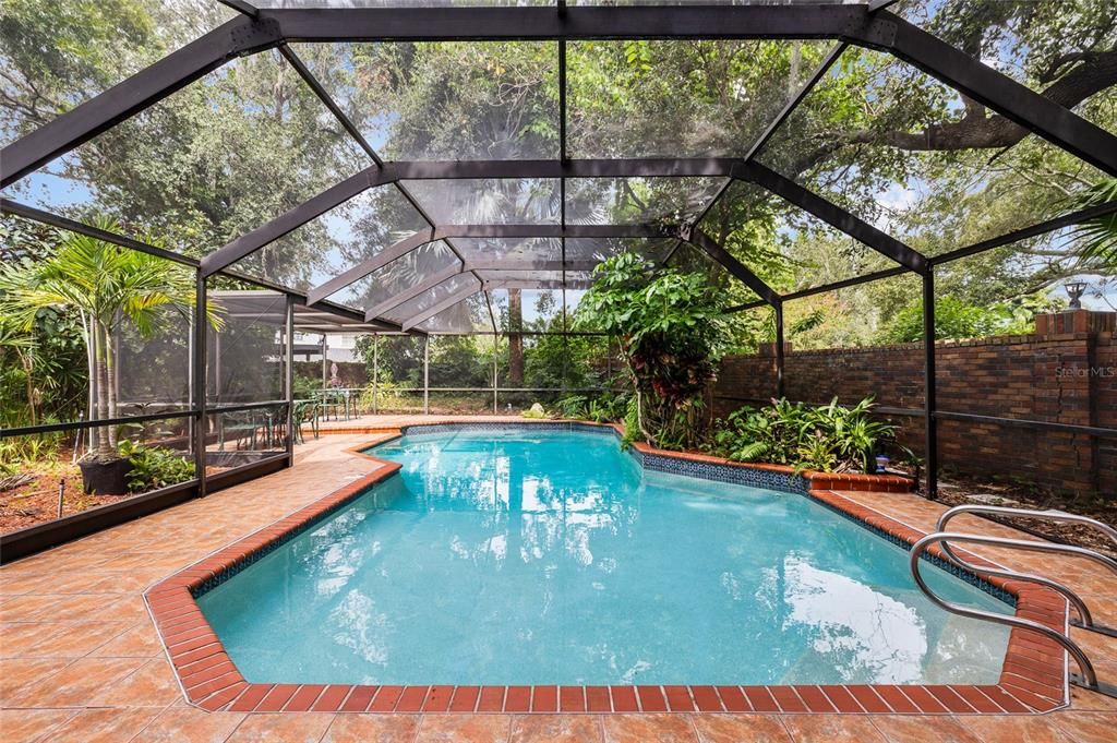 Glass Ceilings, Interior, Pool, Sun Room