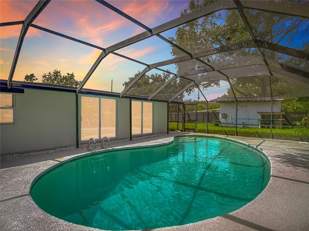 Glass Ceilings, Interior, Pool, Sun Room