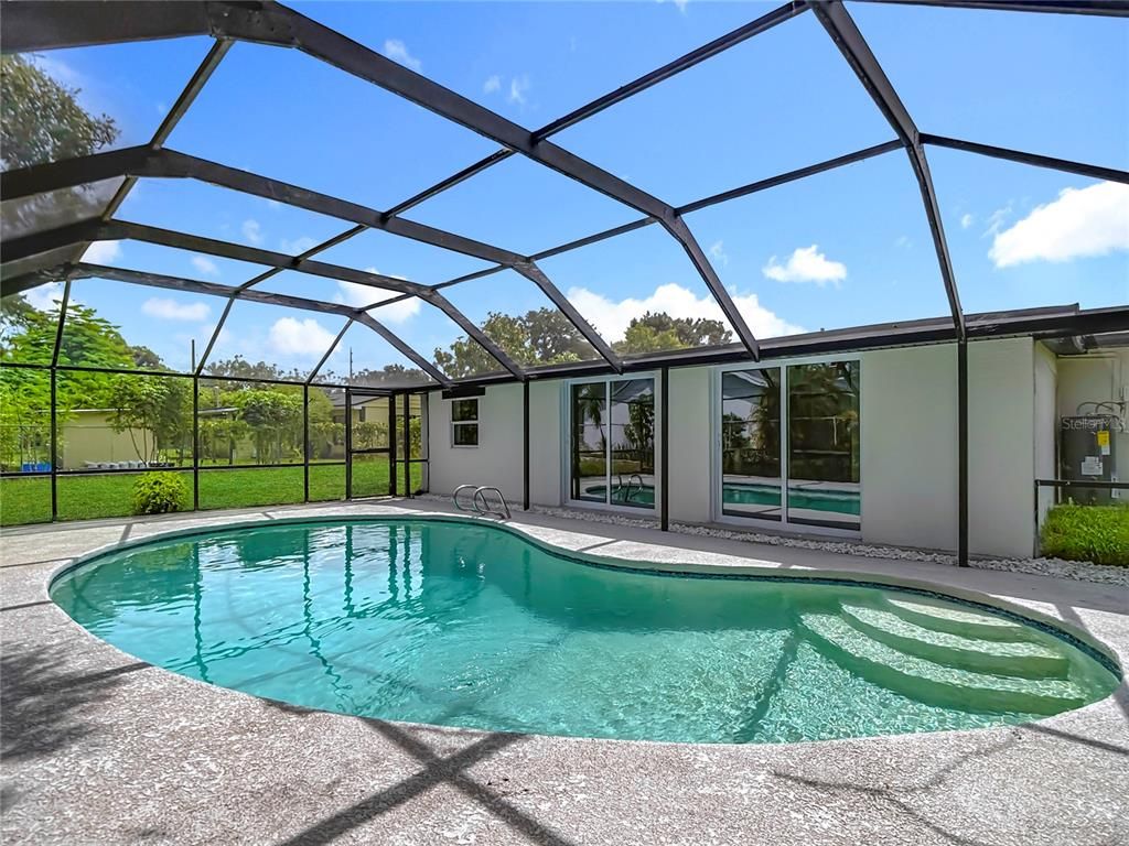 Glass Ceilings, Interior, Pool, Sun Room