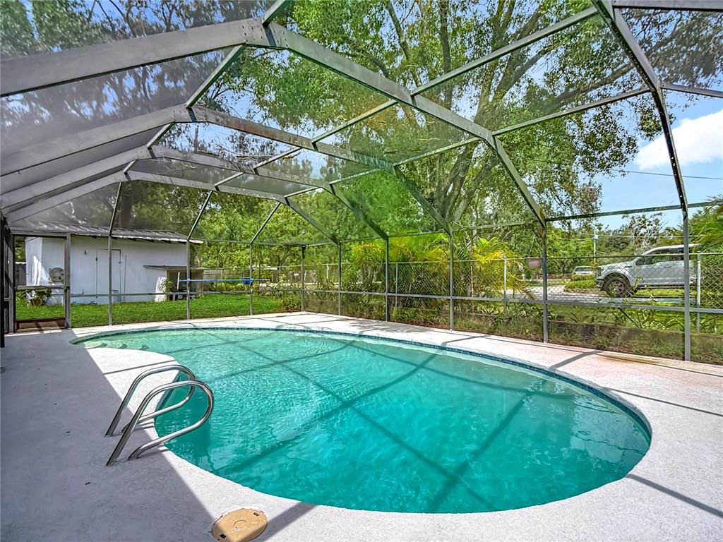 Glass Ceilings, Interior, Pool, Sun Room