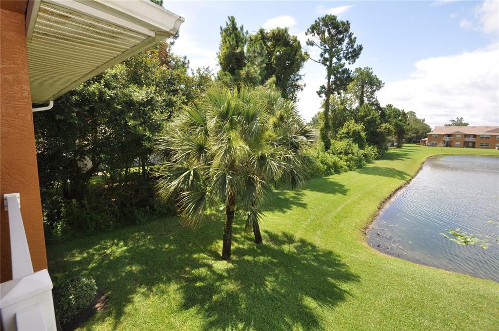 Backyard, Exterior, Water