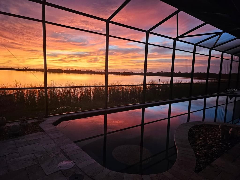 Glass Ceilings, Interior, Pool, Sun Room, Water