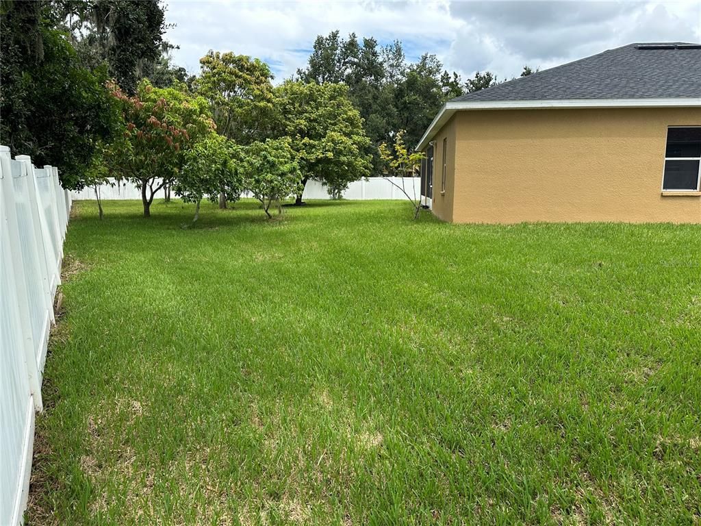 Backyard, Exterior