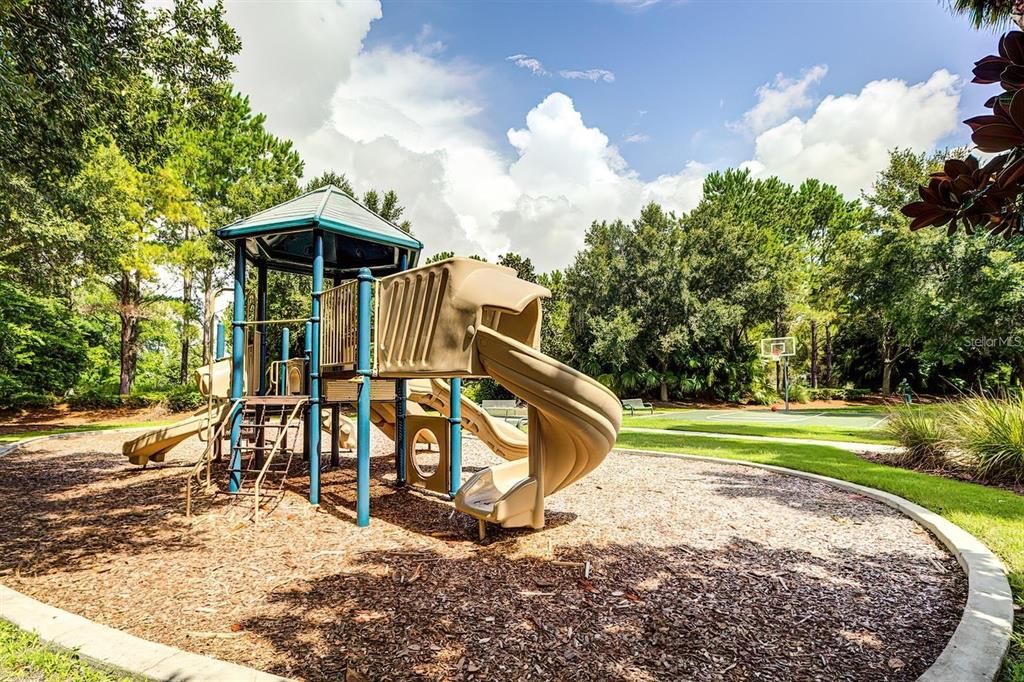 Backyard, Exterior, Playground