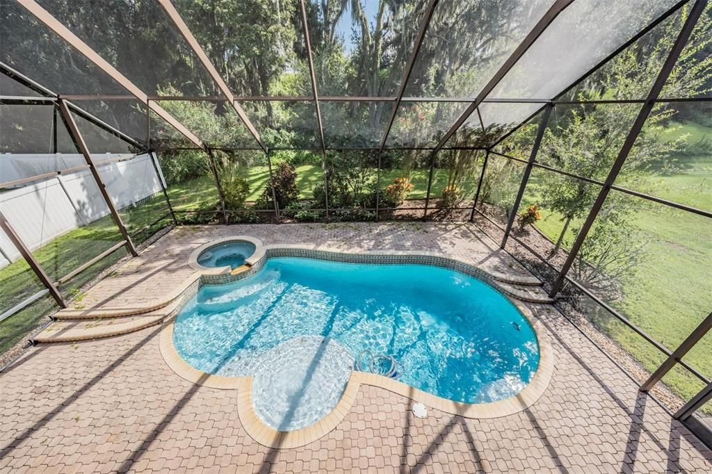 Glass Ceilings, Interior, Pool, Sun Room