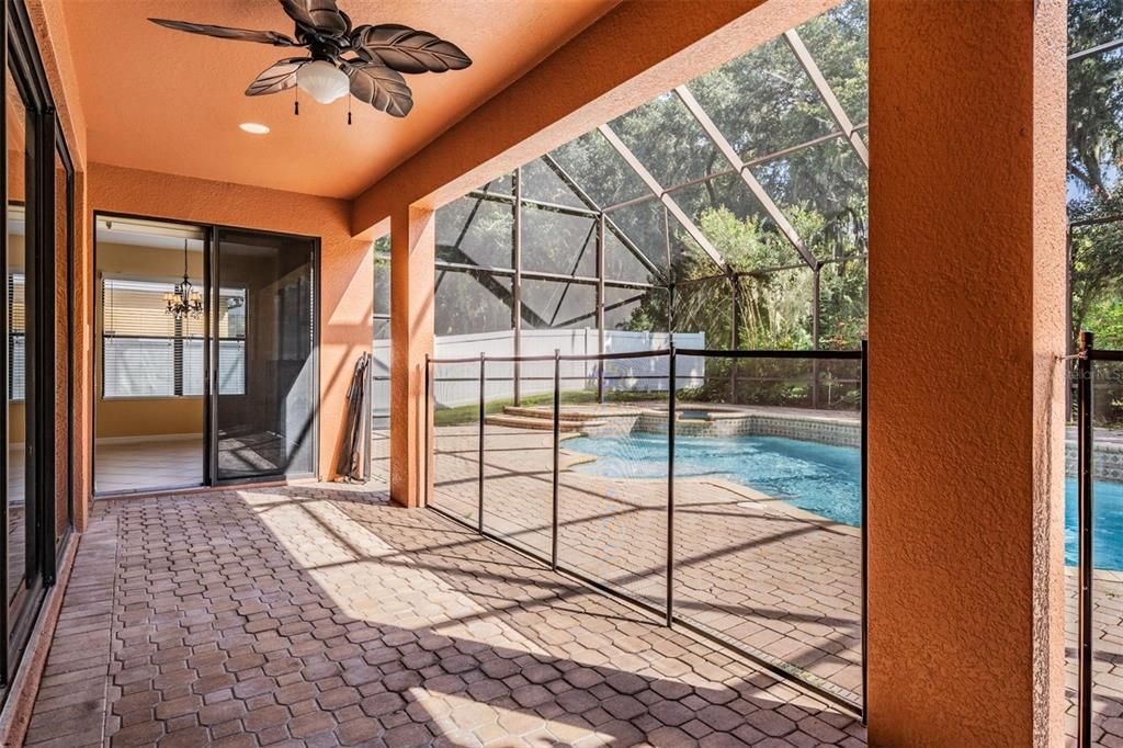 Glass Ceilings, Interior, Pool, Recessed Lighting, Sun Room