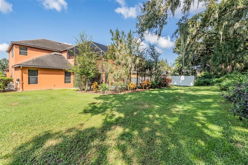 Backyard, Exterior
