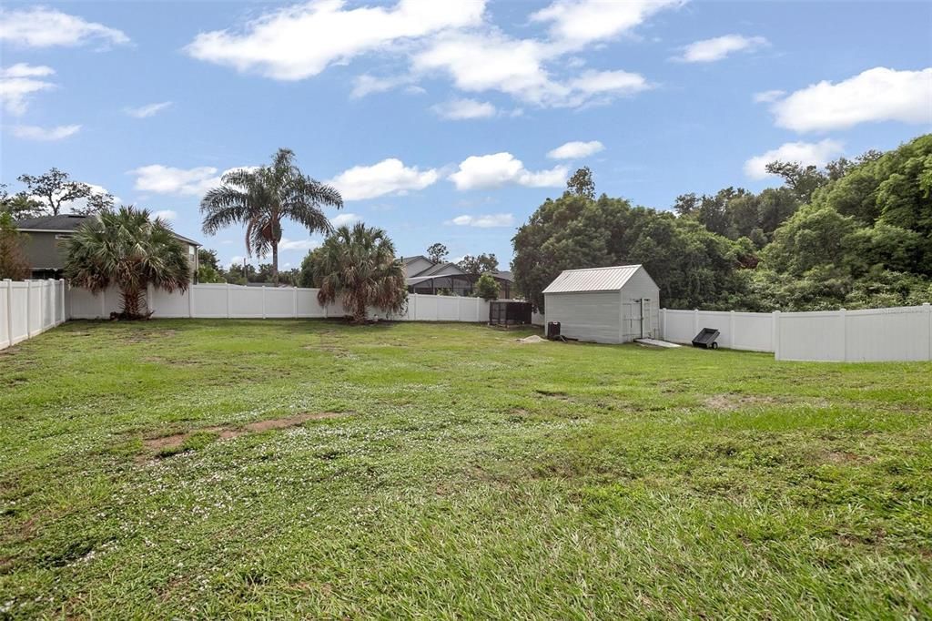 Backyard, Exterior