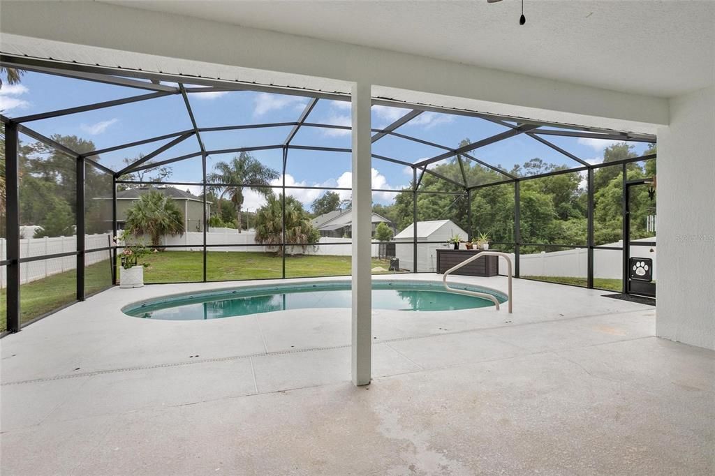Glass Ceilings, Interior, Pool, Sun Room