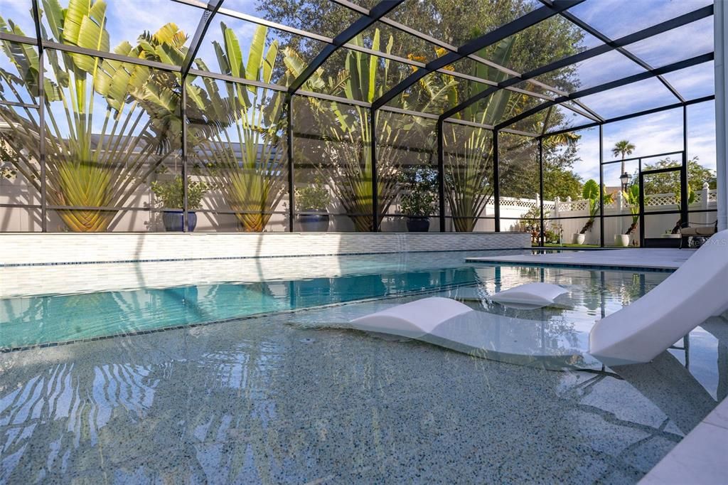 Glass Ceilings, Interior, Pool, Sun Room