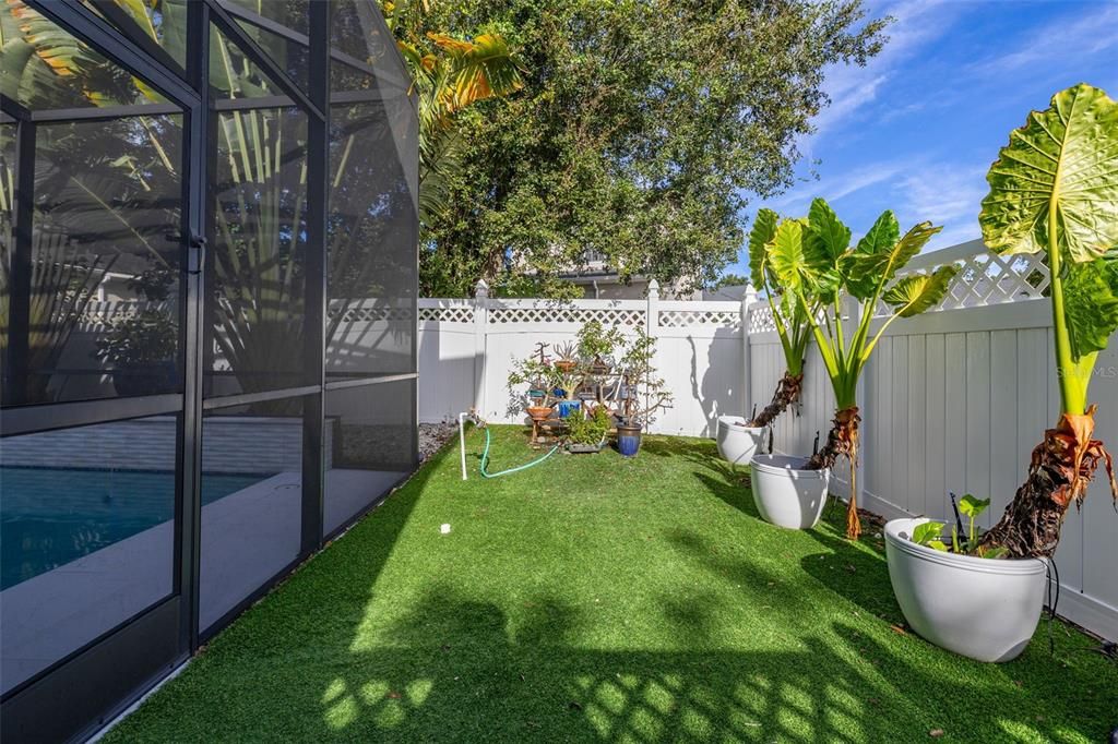 Backyard, Exterior