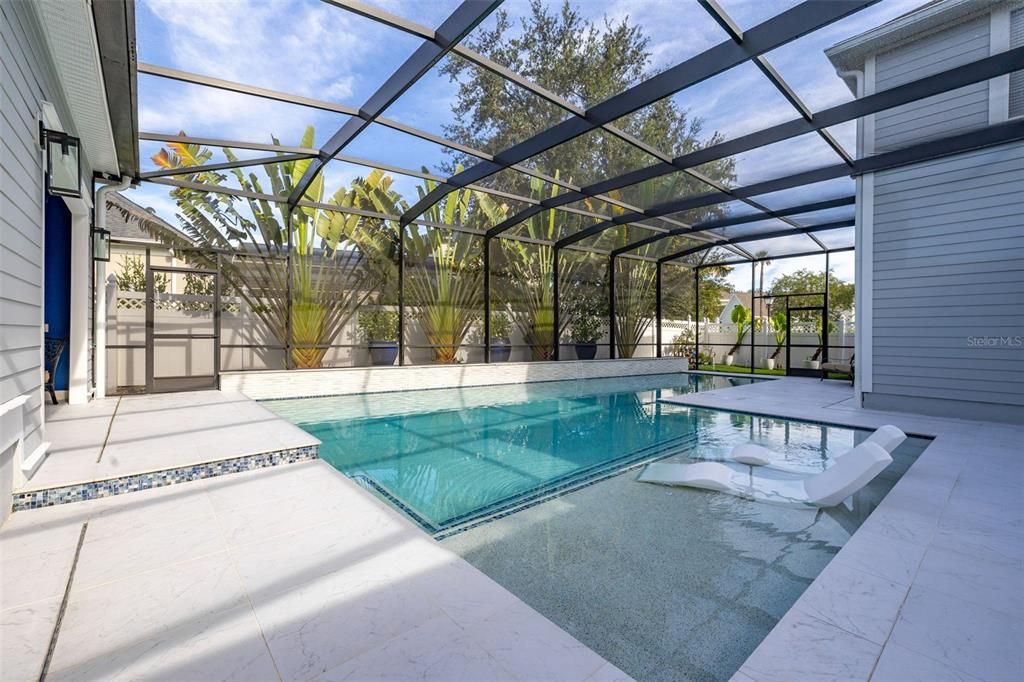 Glass Ceilings, Interior, Pool, Sun Room