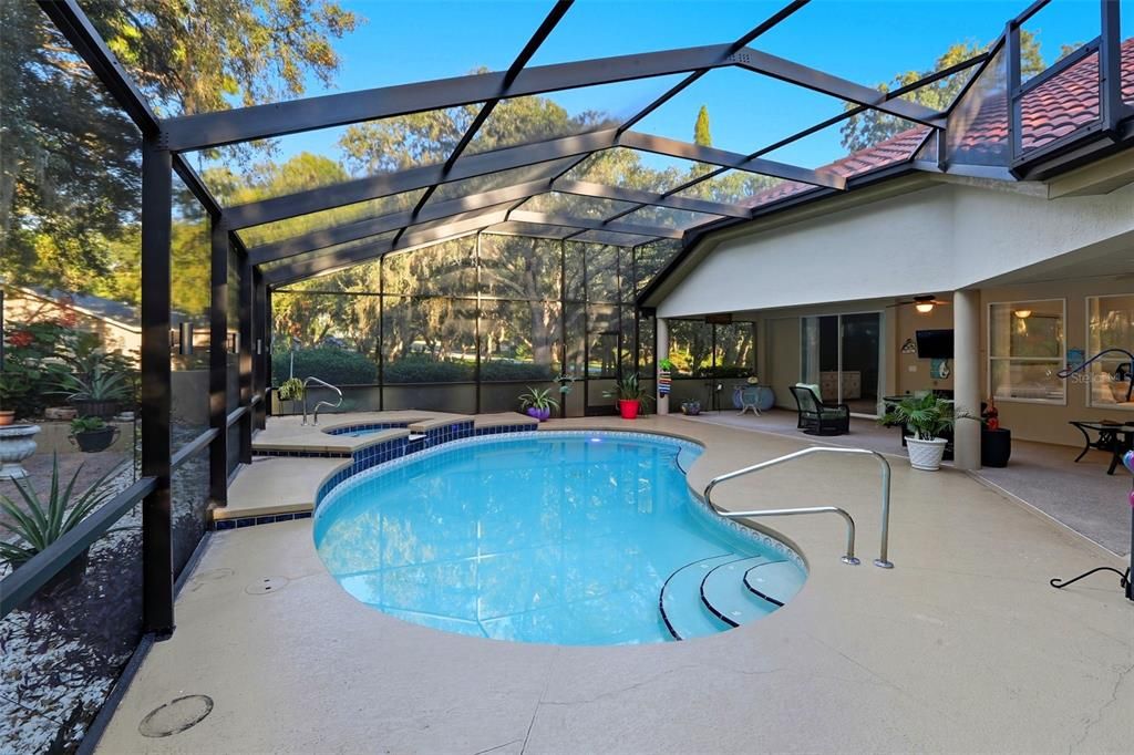 Glass Ceilings, Interior, Pool, Sun Room