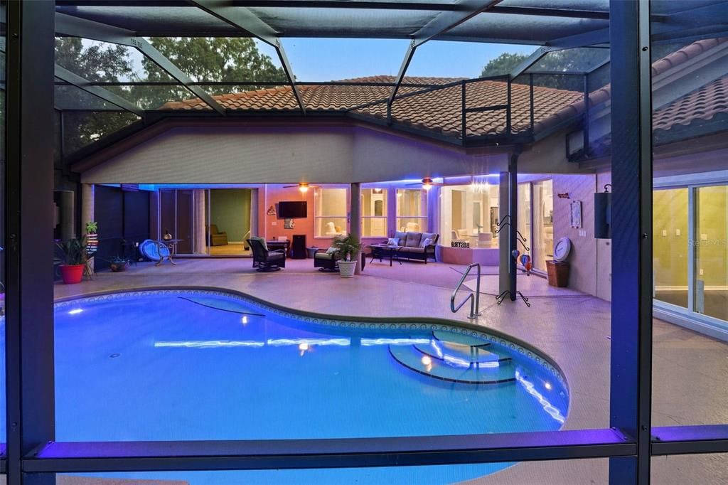 Glass Ceilings, Interior, Pool, Sun Room