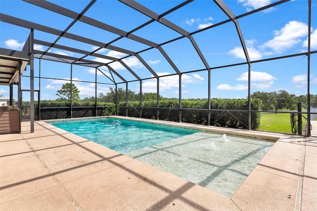 Glass Ceilings, Interior, Pool, Sun Room