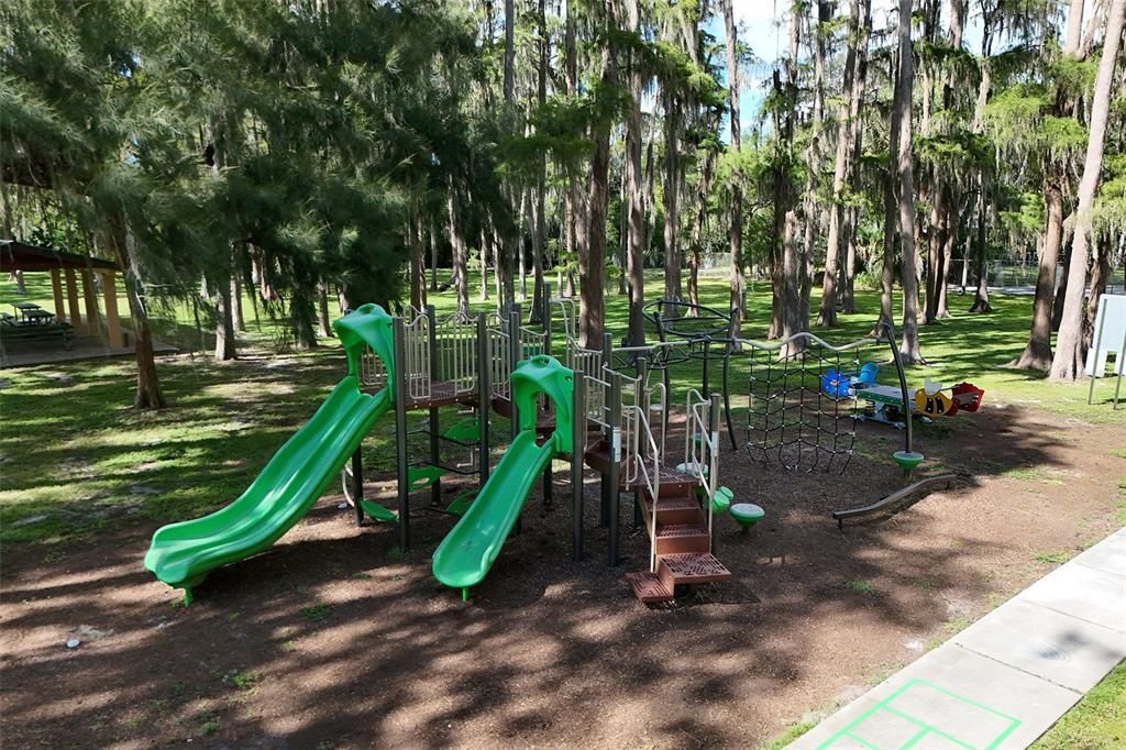 Backyard, Exterior, Playground