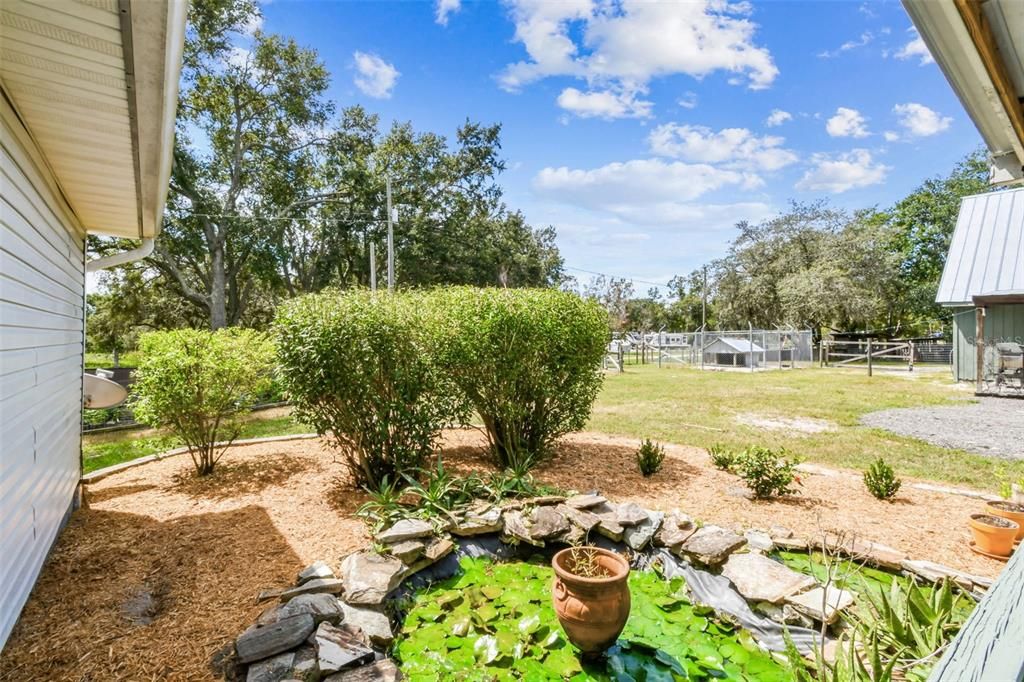 Backyard, Exterior