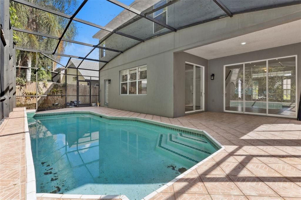 Glass Ceilings, Interior, Pool, Sun Room