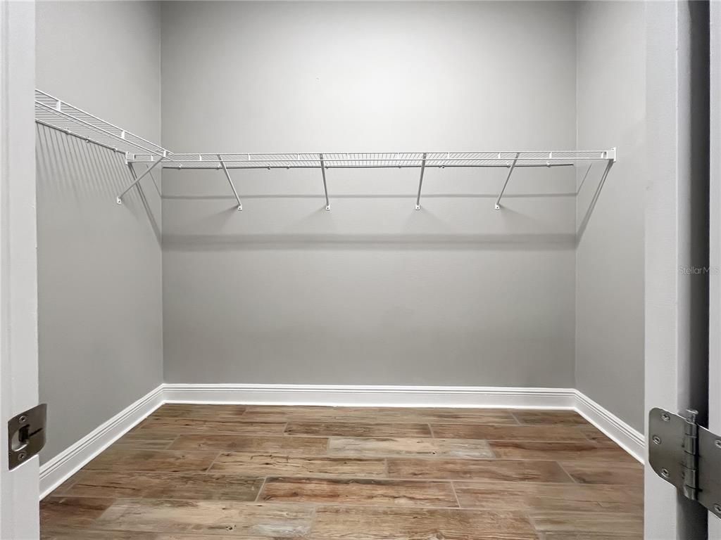 Interior, Walk-in Closets, Wood Texture Flooring