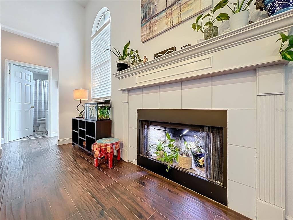 Fireplace, Interior, Wood Texture Flooring