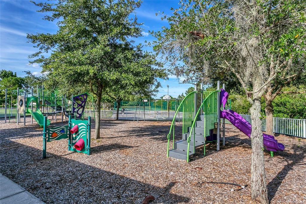 Backyard, Exterior, Playground
