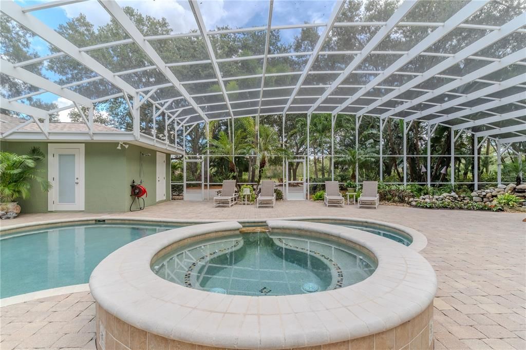Glass Ceilings, Interior, Pool, Sun Room
