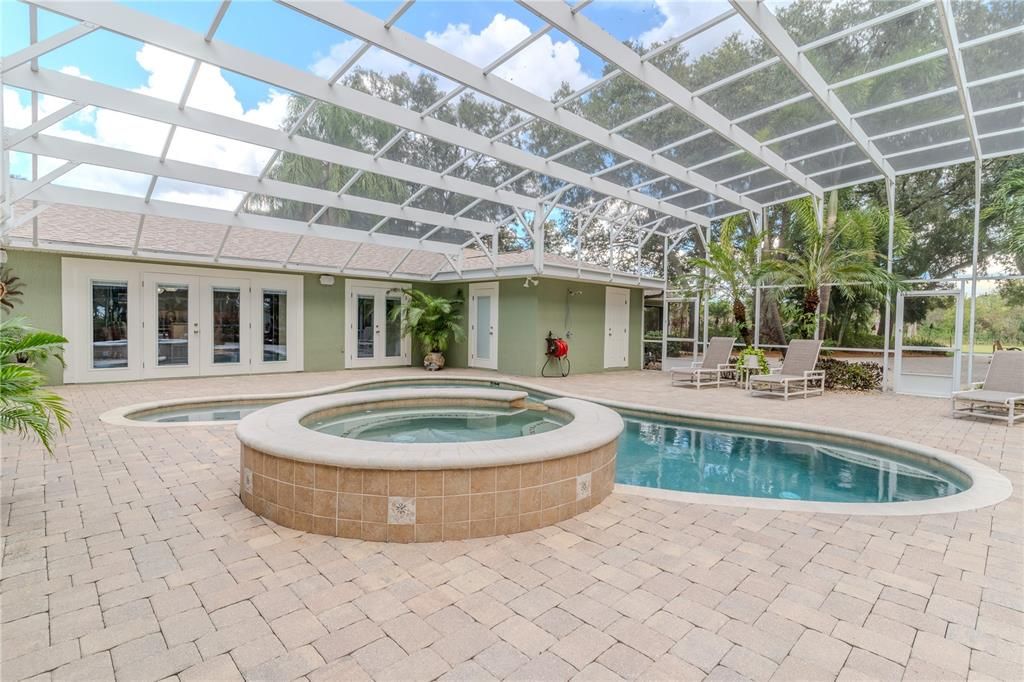 Glass Ceilings, Interior, Pool, Sun Room