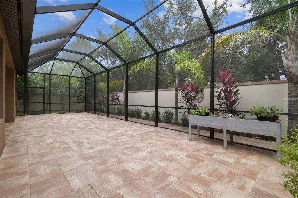 Glass Ceilings, Interior, Sun Room