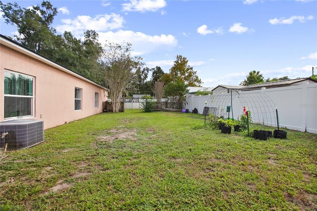 Backyard, Exterior