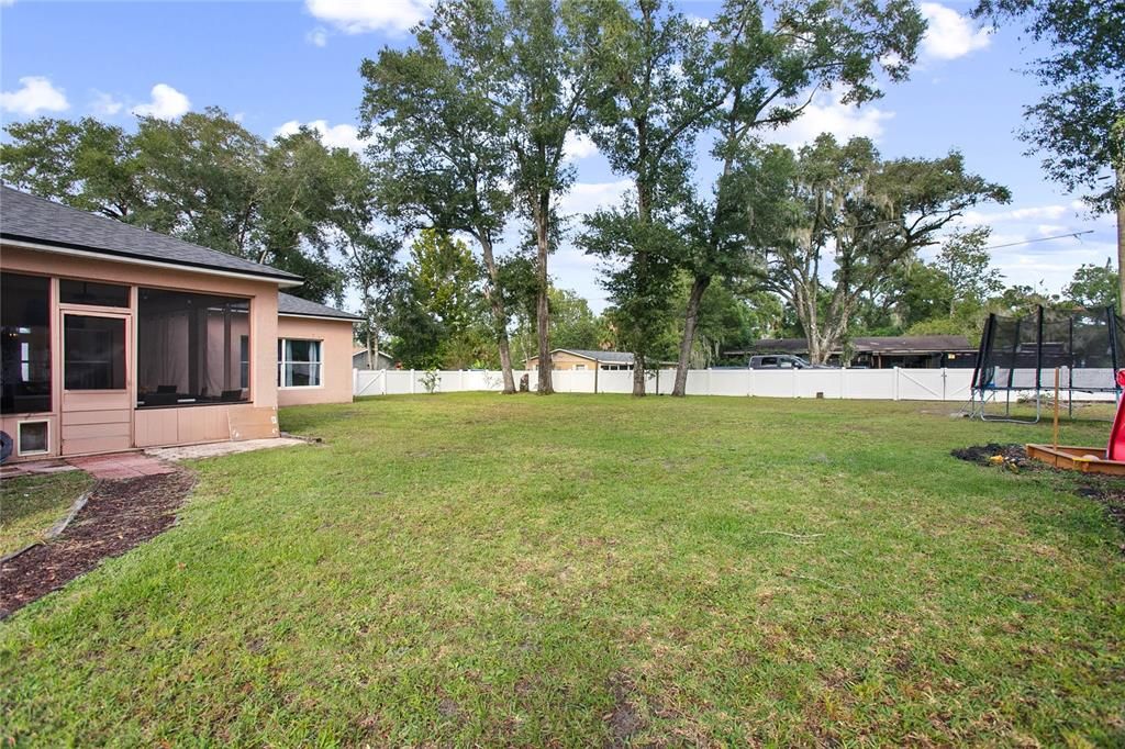 Backyard, Exterior, Playground
