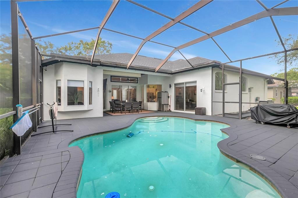 Glass Ceilings, Interior, Pool, Sun Room
