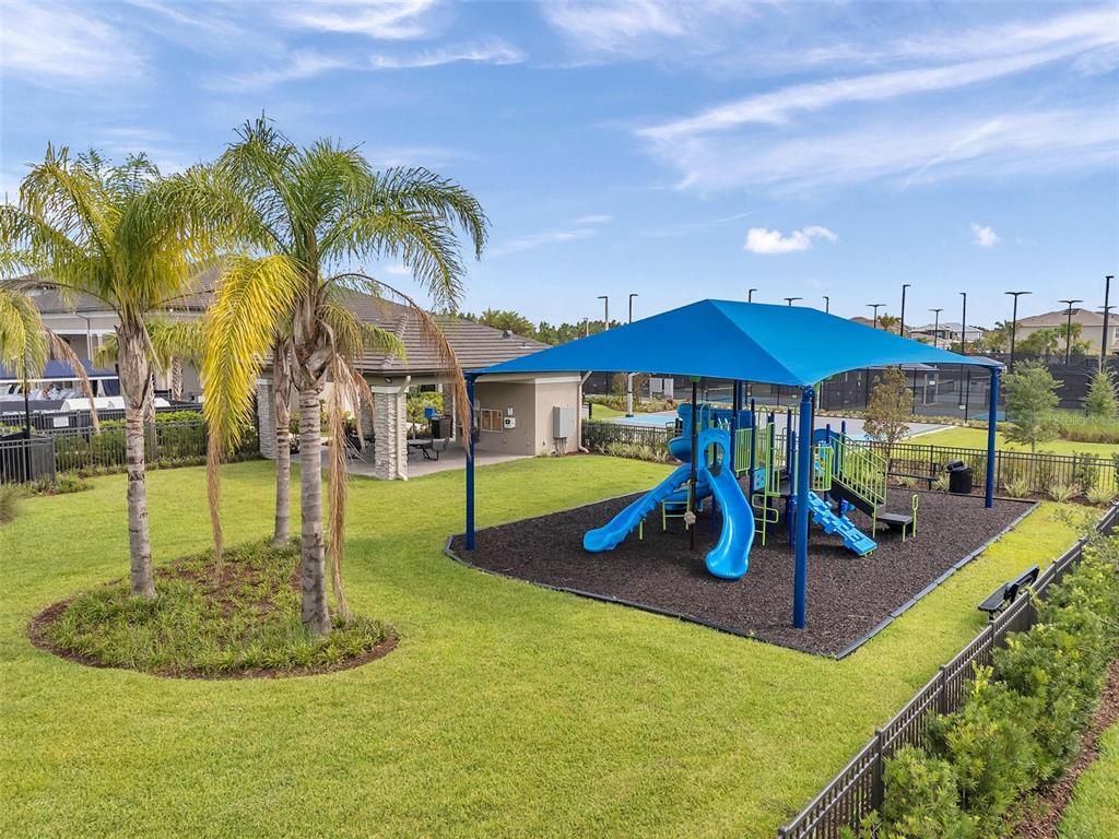 Backyard, Exterior, Playground