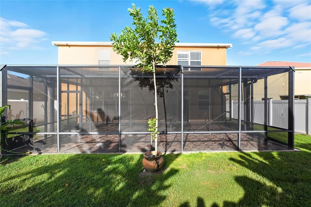 Backyard, Exterior