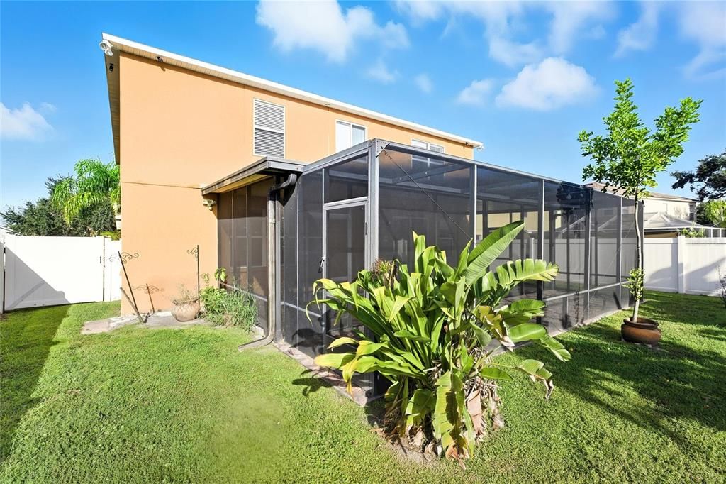 Backyard, Exterior