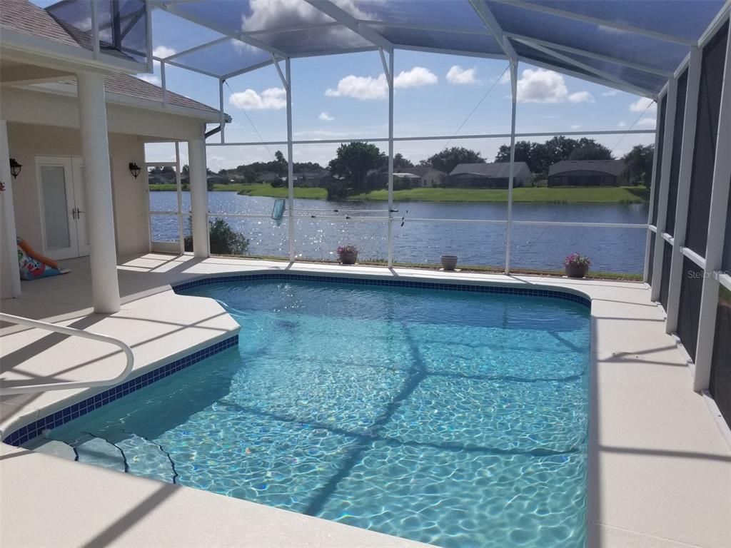 Glass Ceilings, Interior, Pool, Sun Room, Water